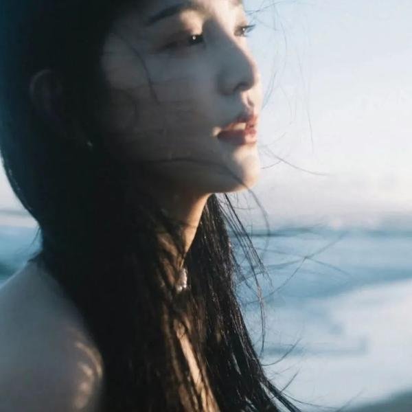 长安的荔枝