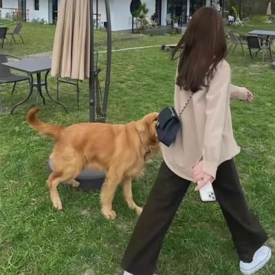 永不让步