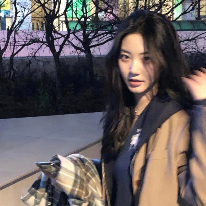 反诈风暴之情爱迷局